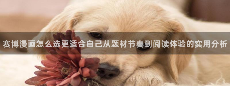 羞羞漫画热门榜单
