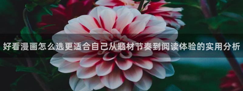 羞羞漫画热门榜单